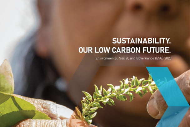 2020 ESG Report