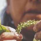 2024 Sustainability Summary Table